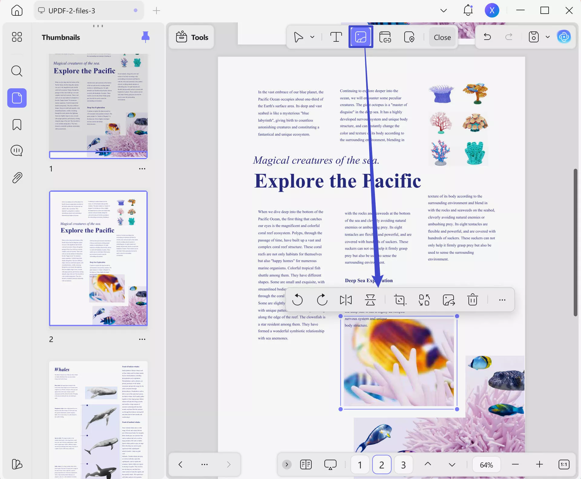 adjust the image size