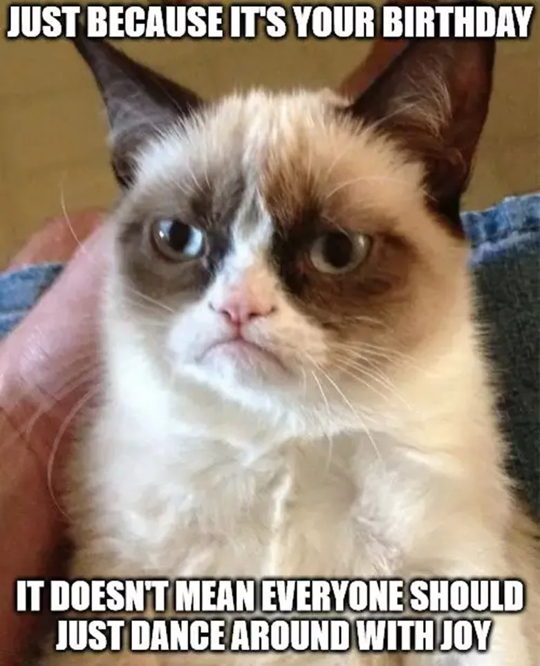 not excited happy birthday meme