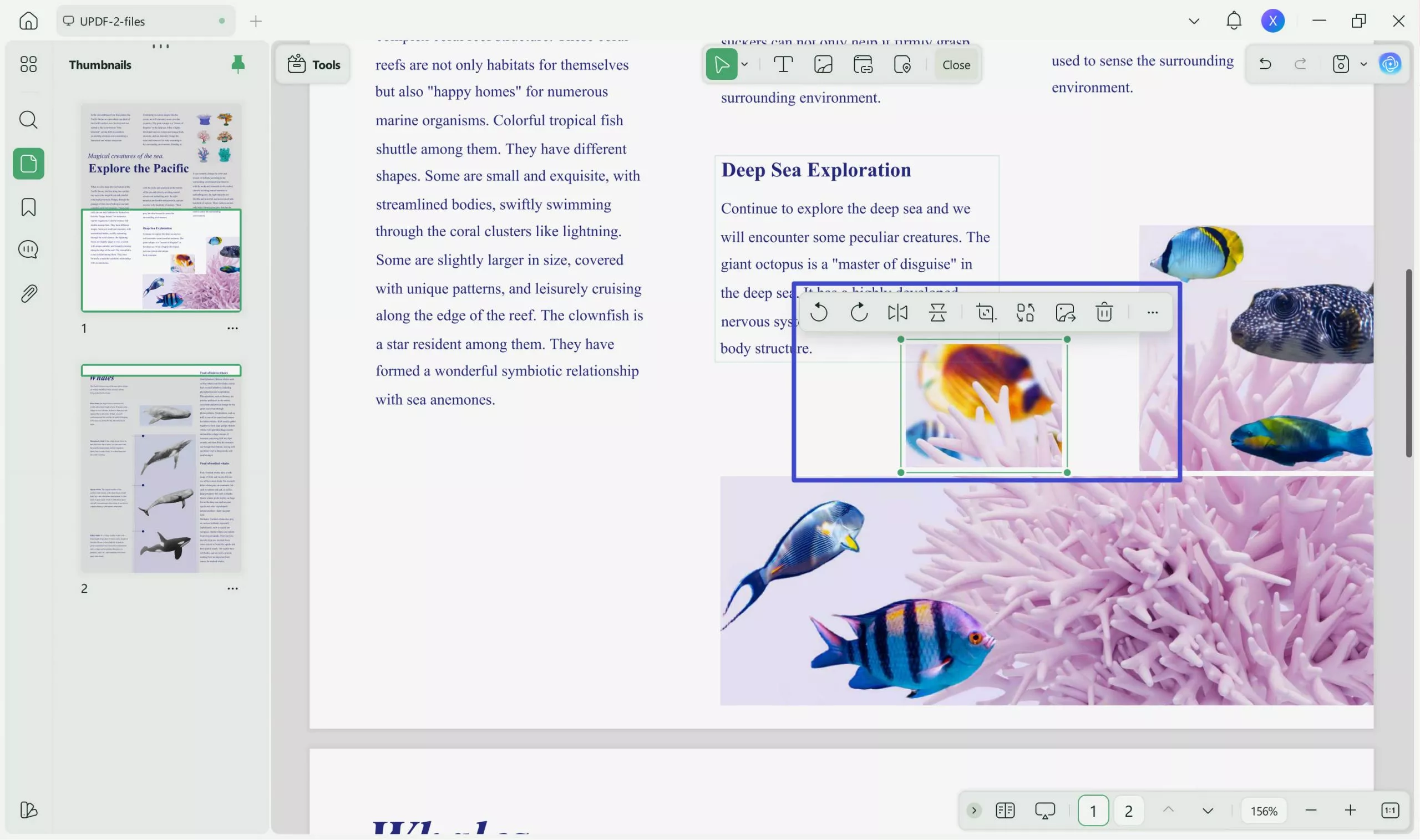 make adjustments in pdf images