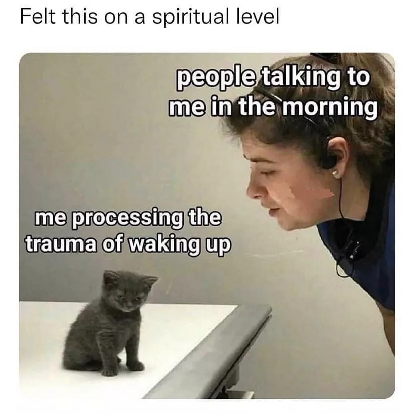 trauma of waking up meme