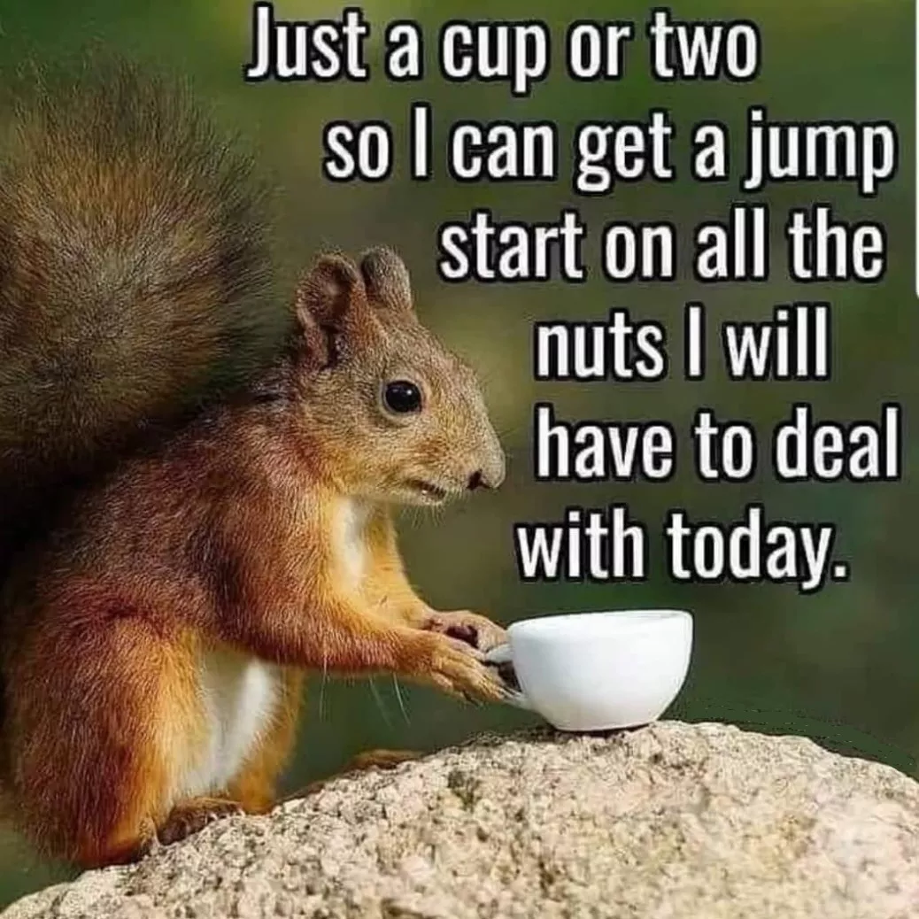dealing with nuts meme