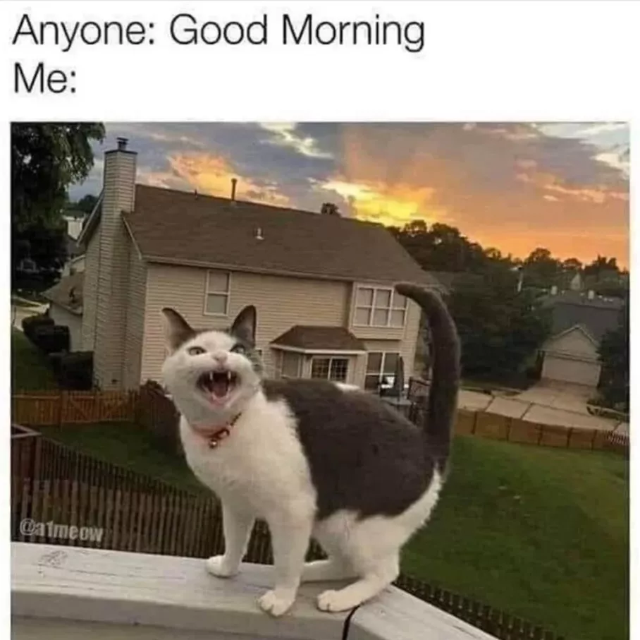 morning rage is true meme