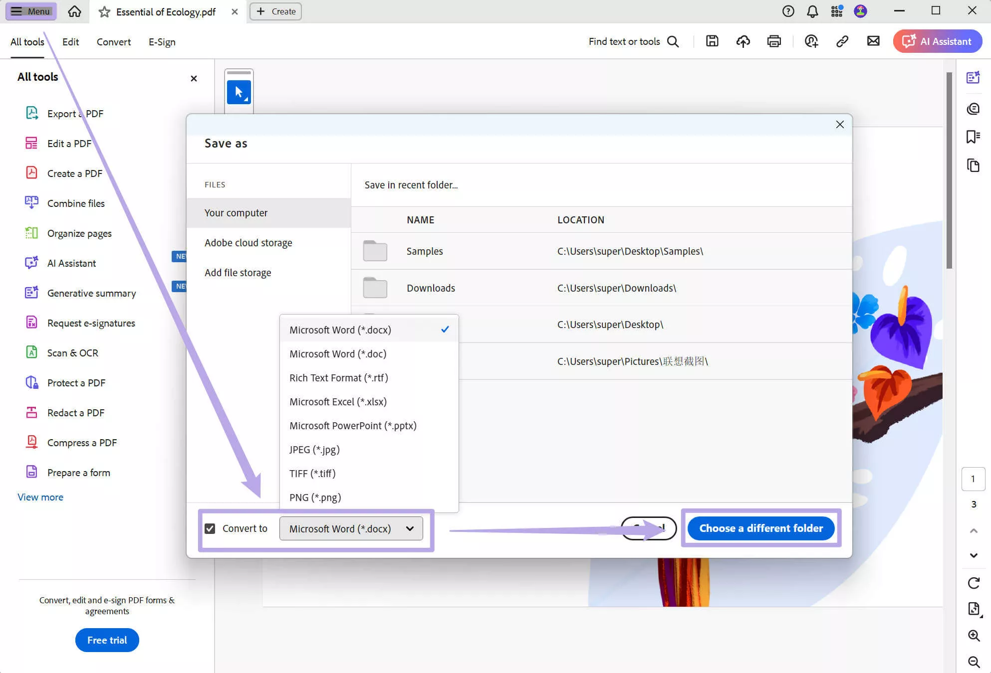 save as word in adobe acrobat