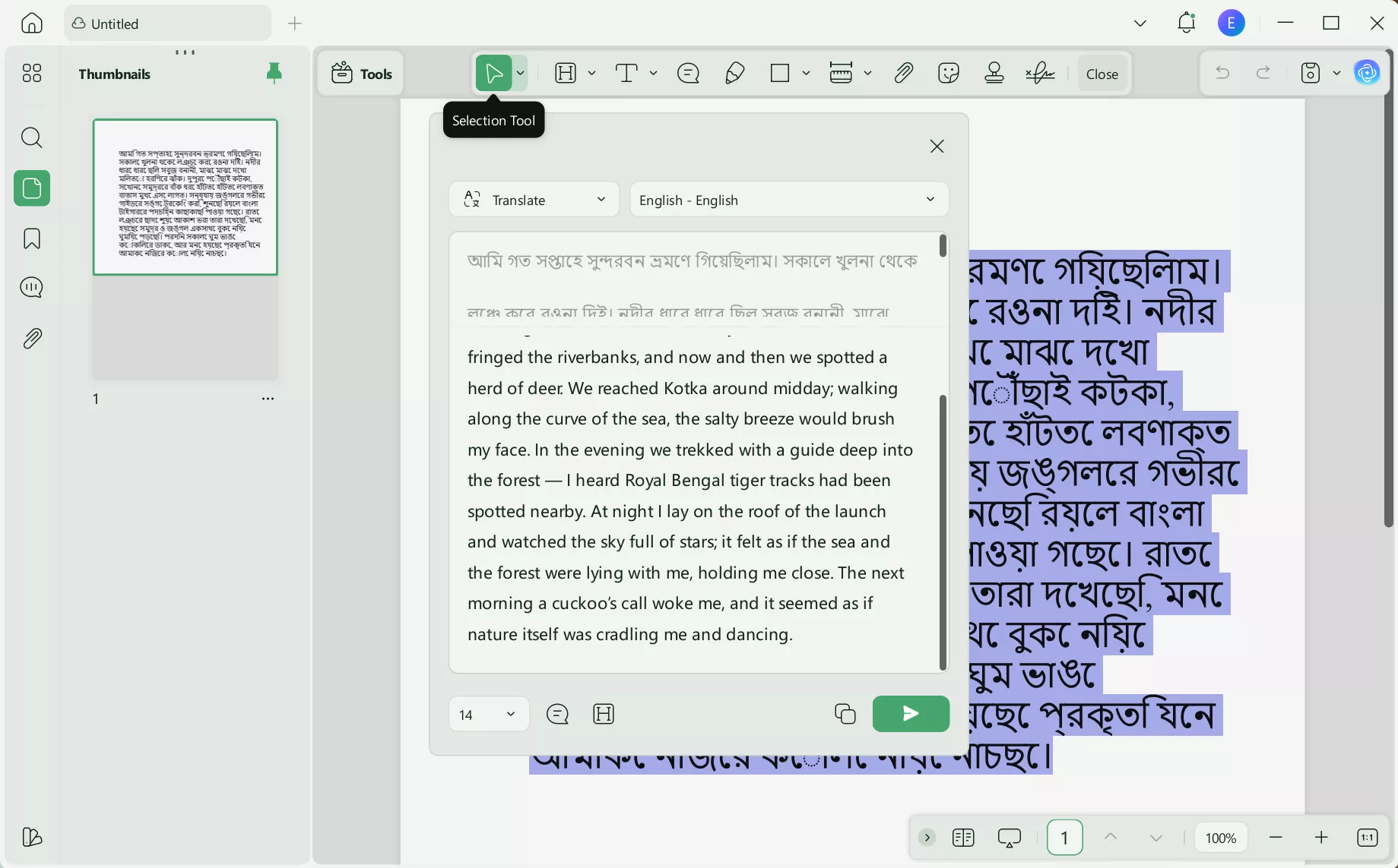 PDF translated