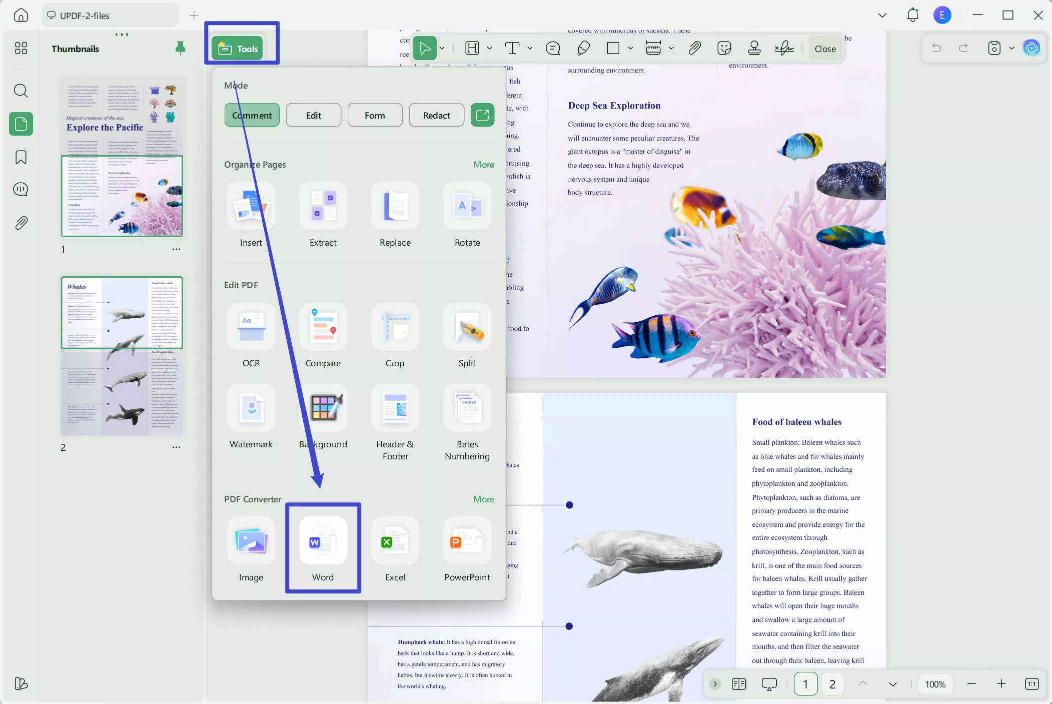 select export to word option 