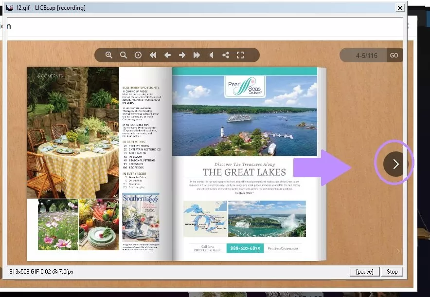 flip the pages in anyflip