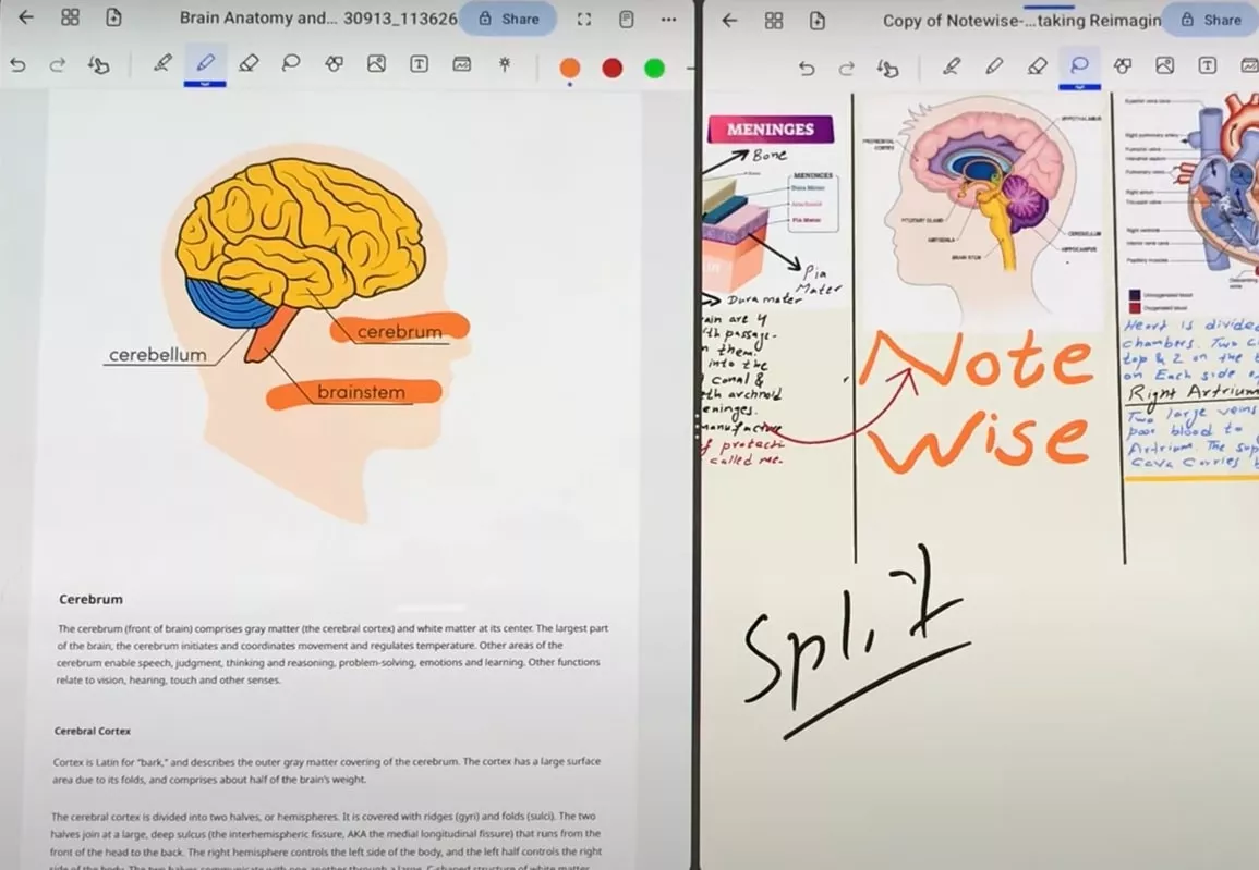 split feature in notewise