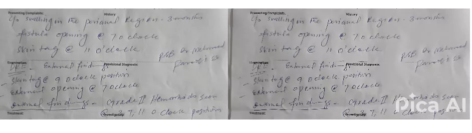 pica ai before vs after