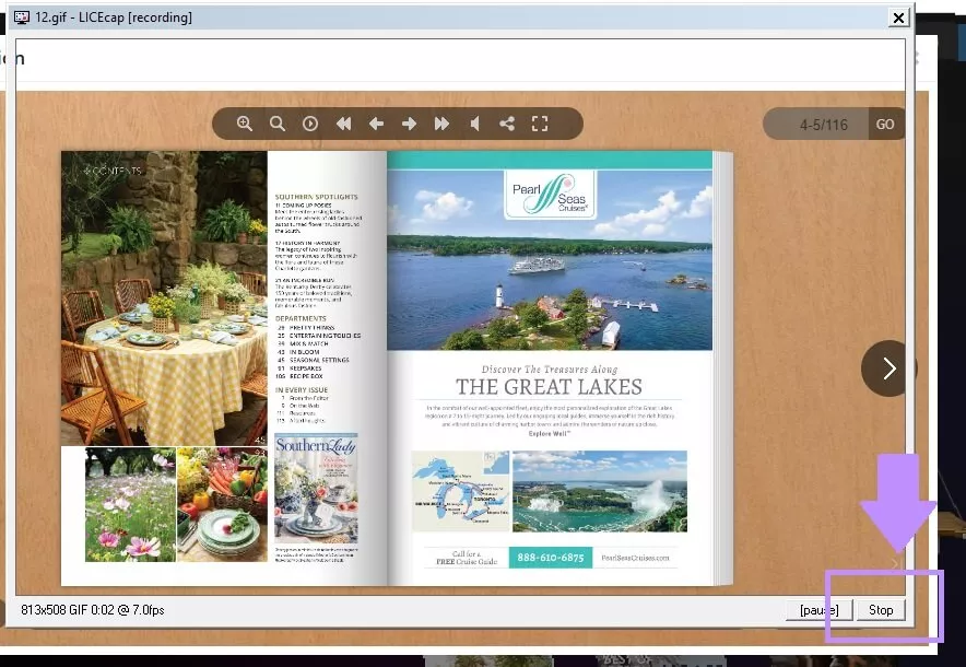 stop the recording licecap