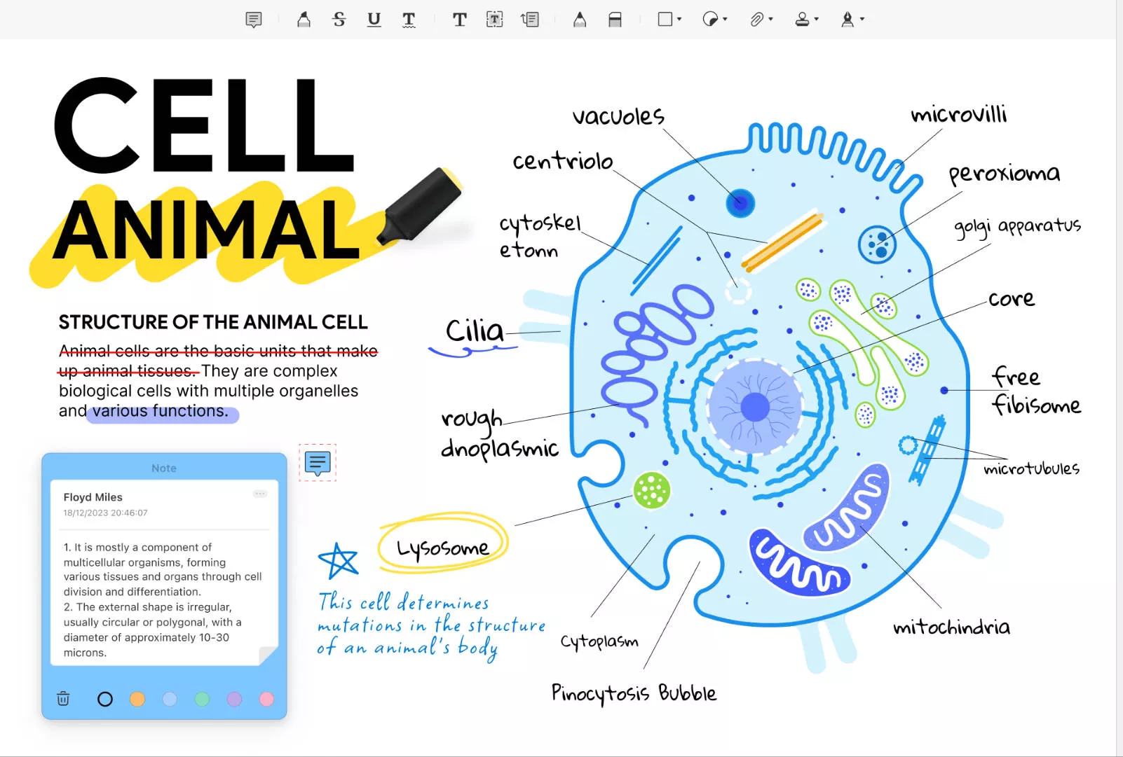 Notewise alternative - UPDF