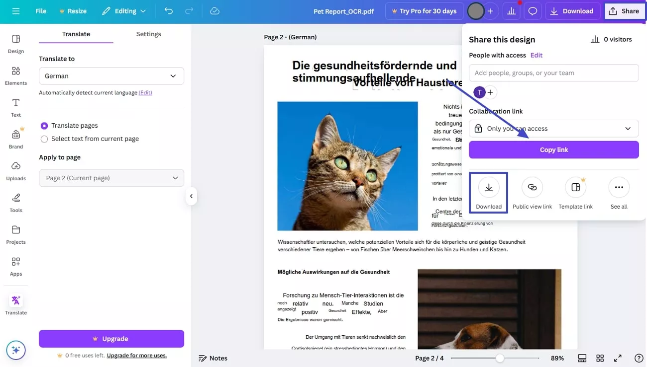download or share pdf canva