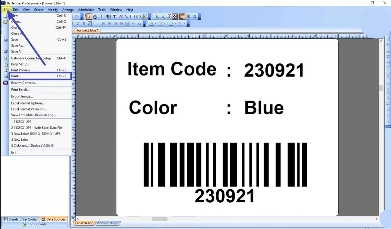 access print option in file menu