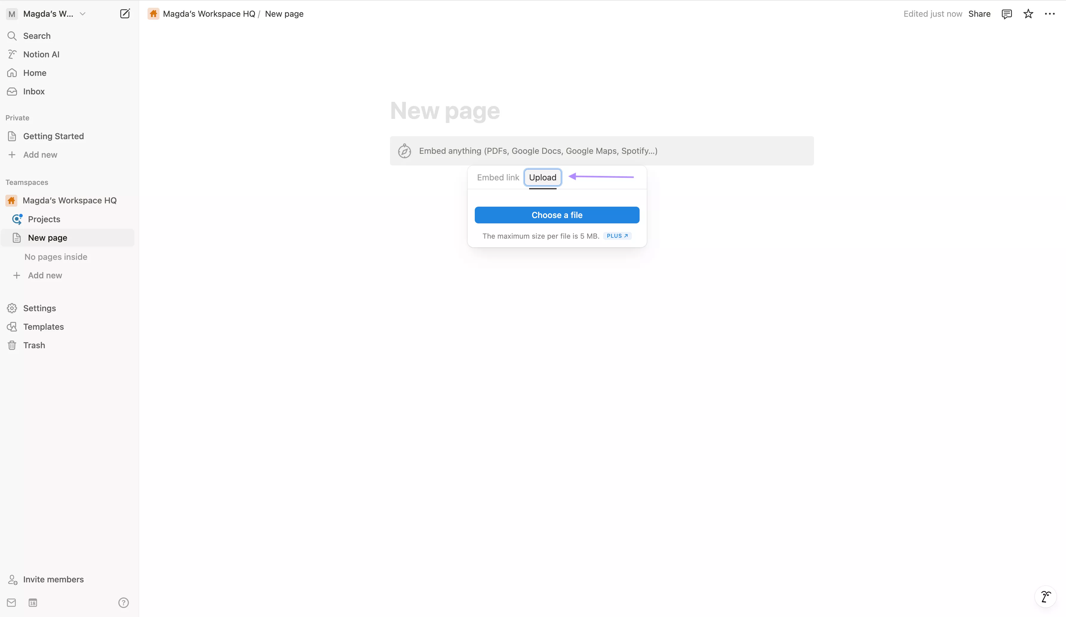 Embed pdf into notion