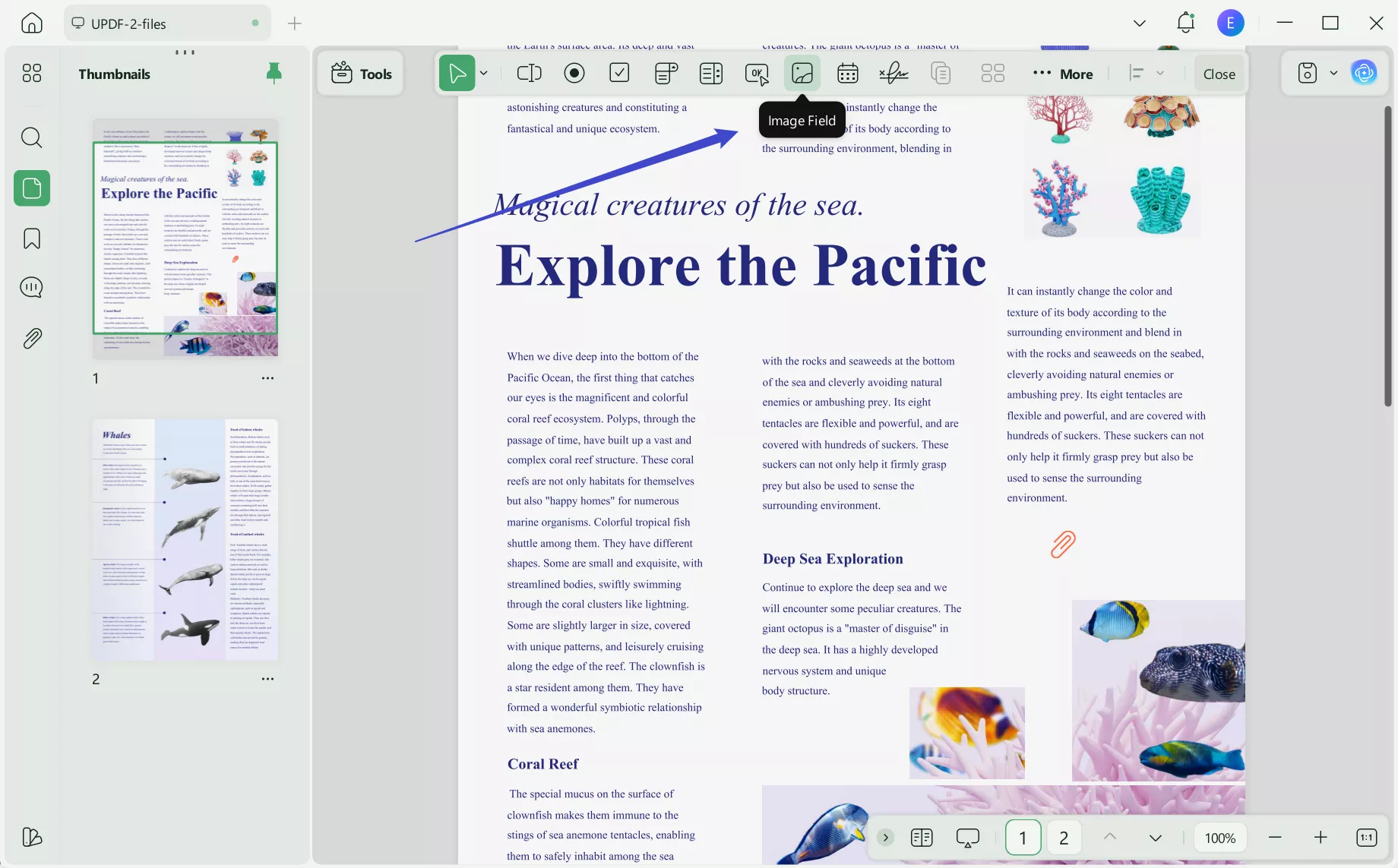 click add an image field updf windows