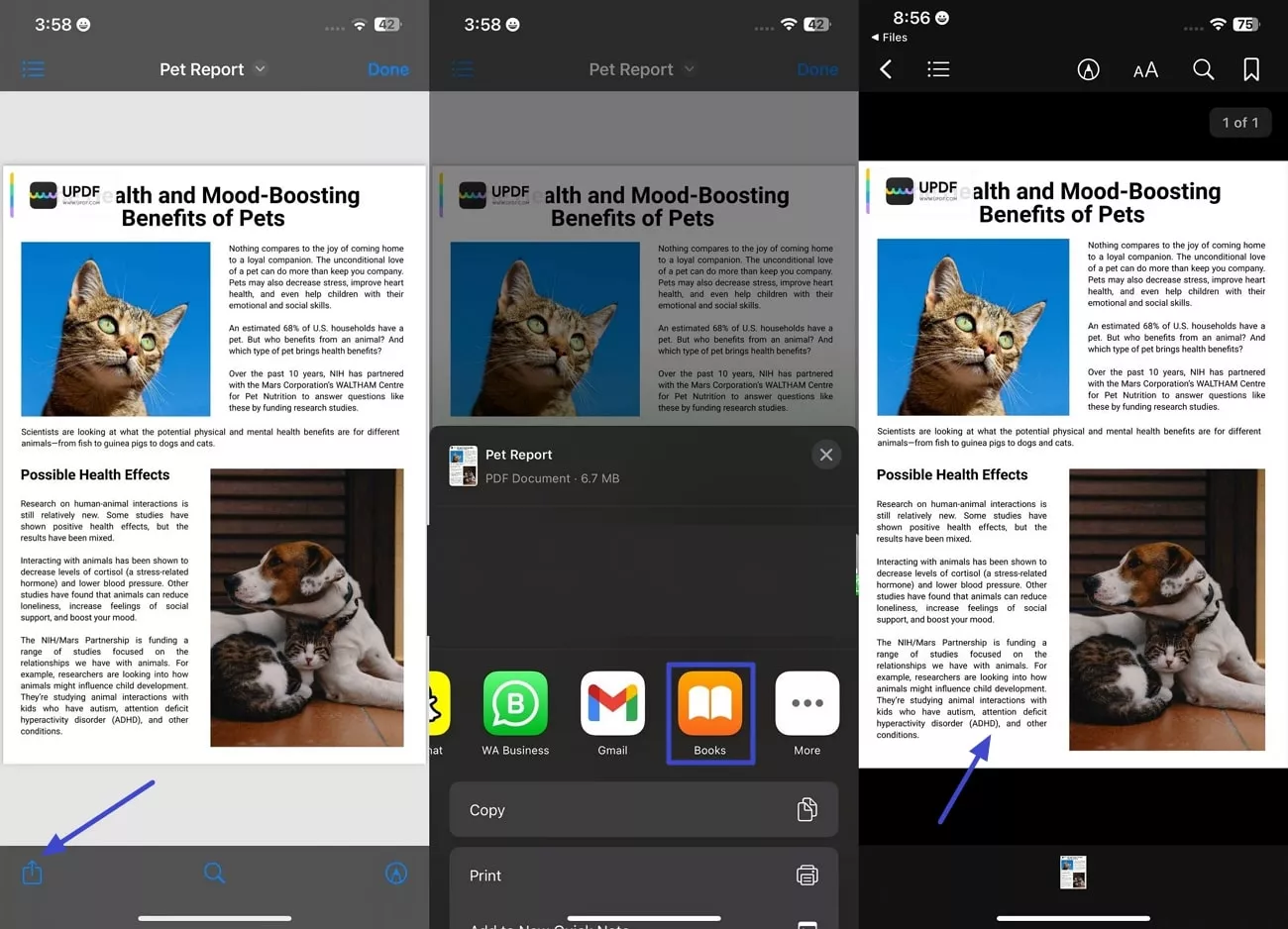 share pdf with book and preview