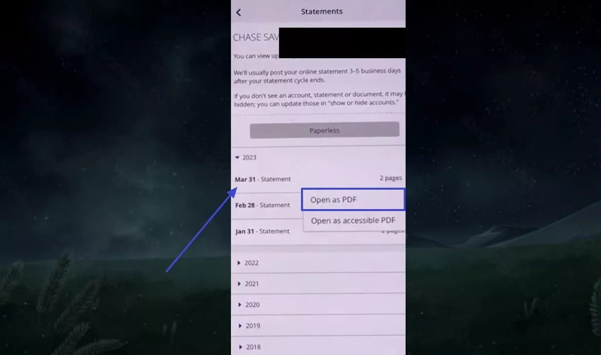pick open as pdf option