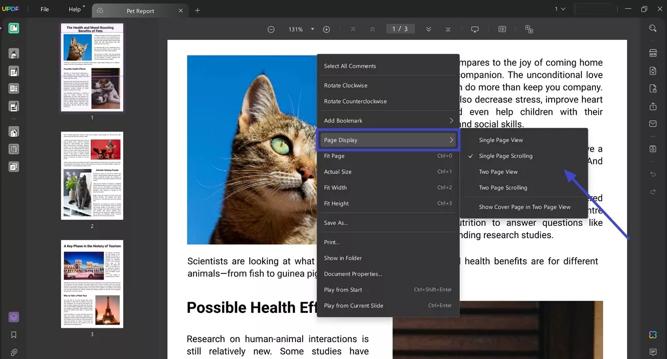 change page display updf