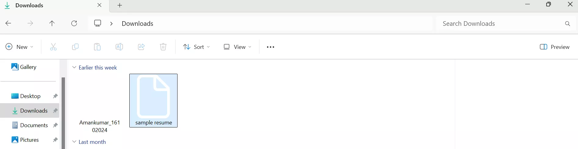 pdf icon transparent