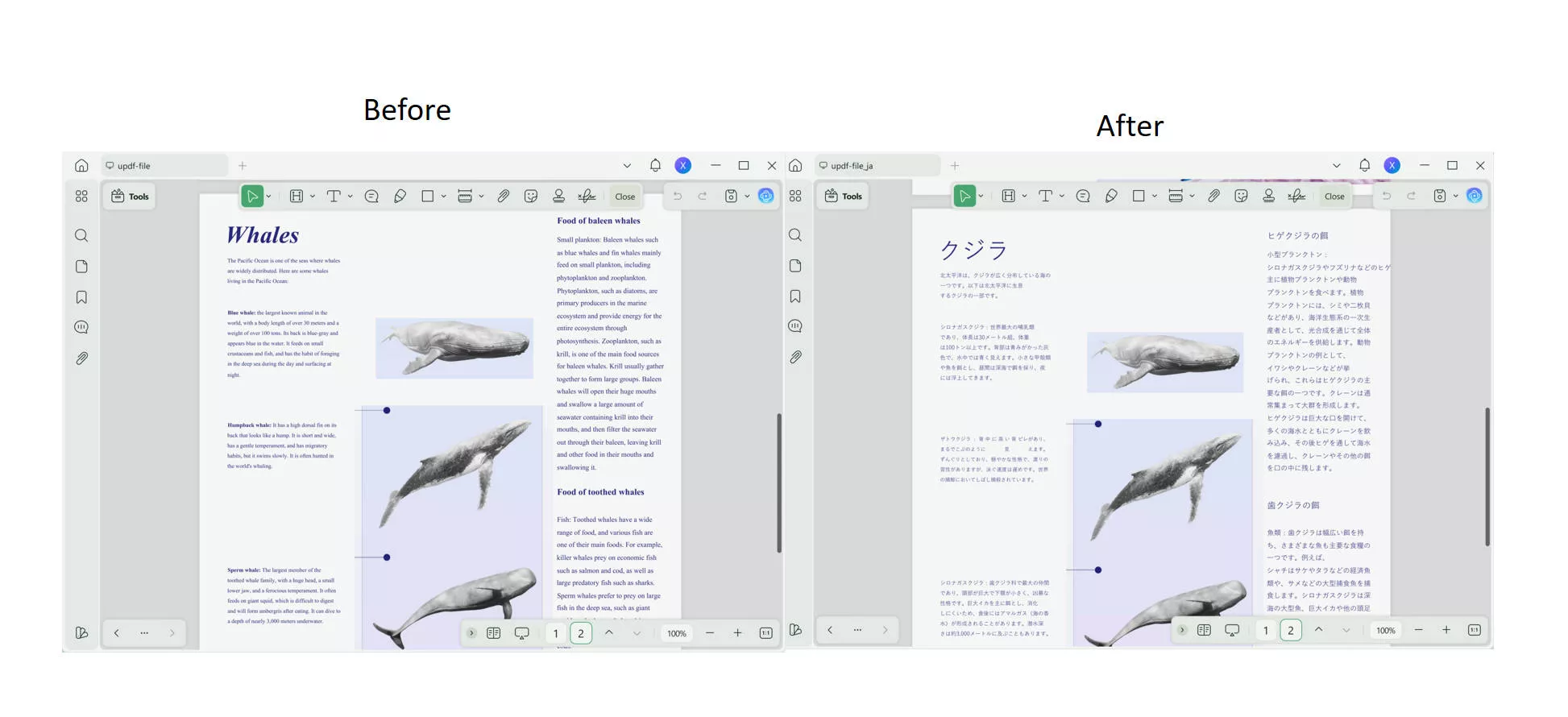 save translated pdf and open