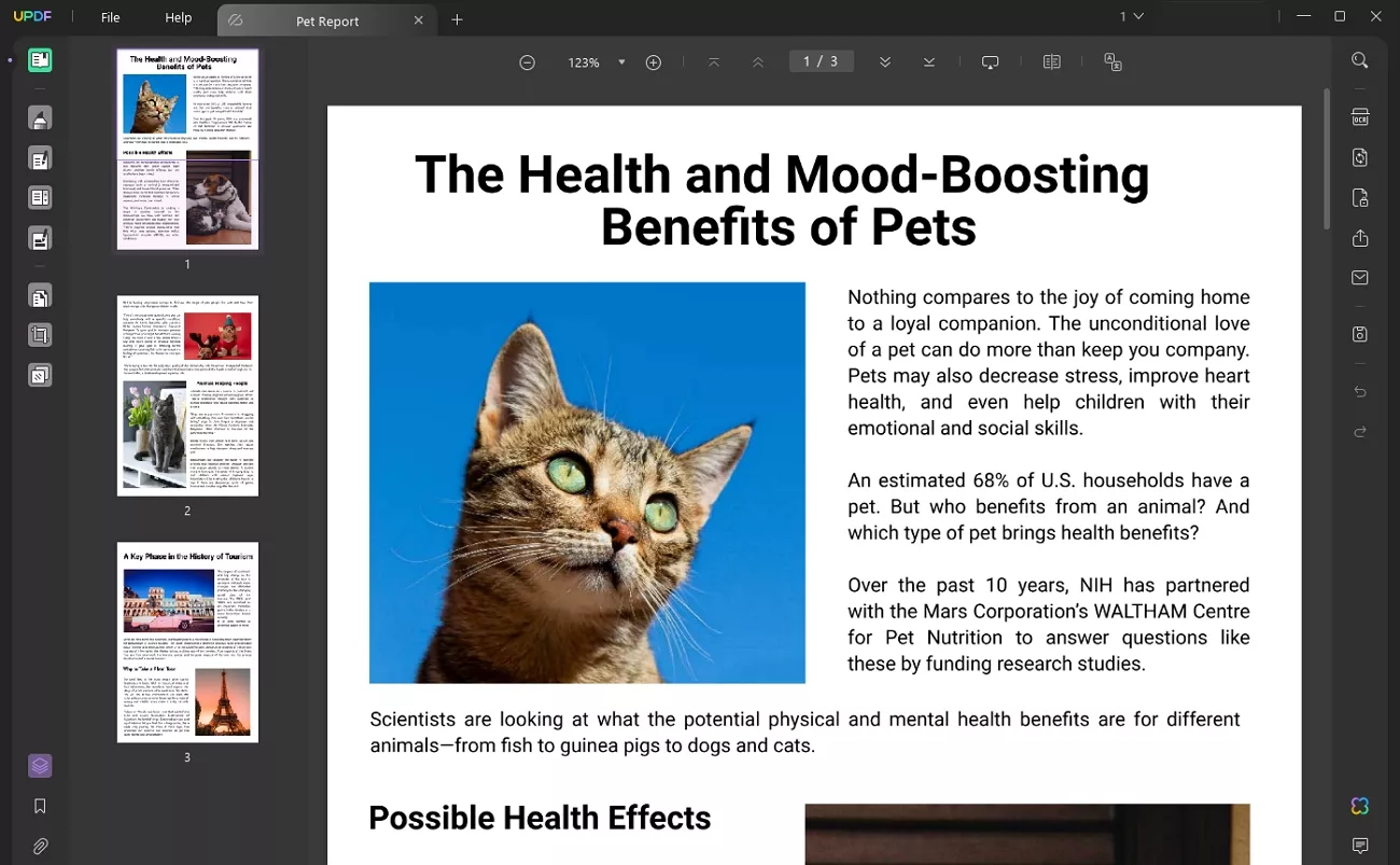 preview book on updf