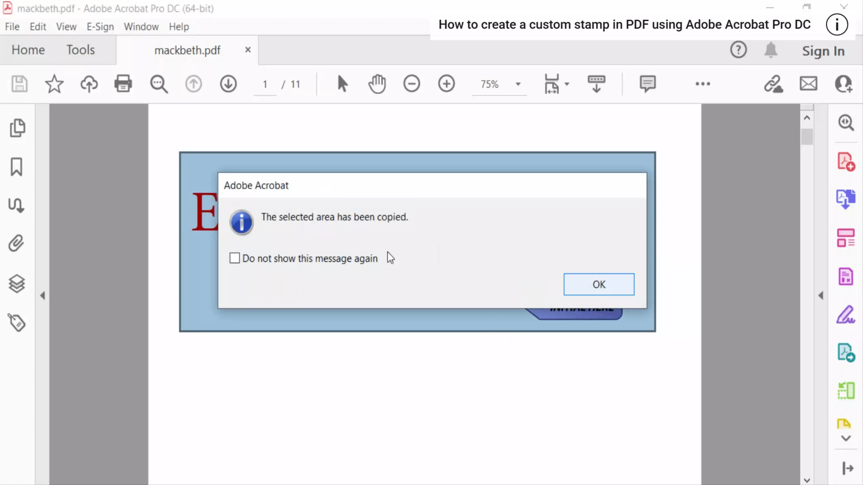 screenshot in old acrobat