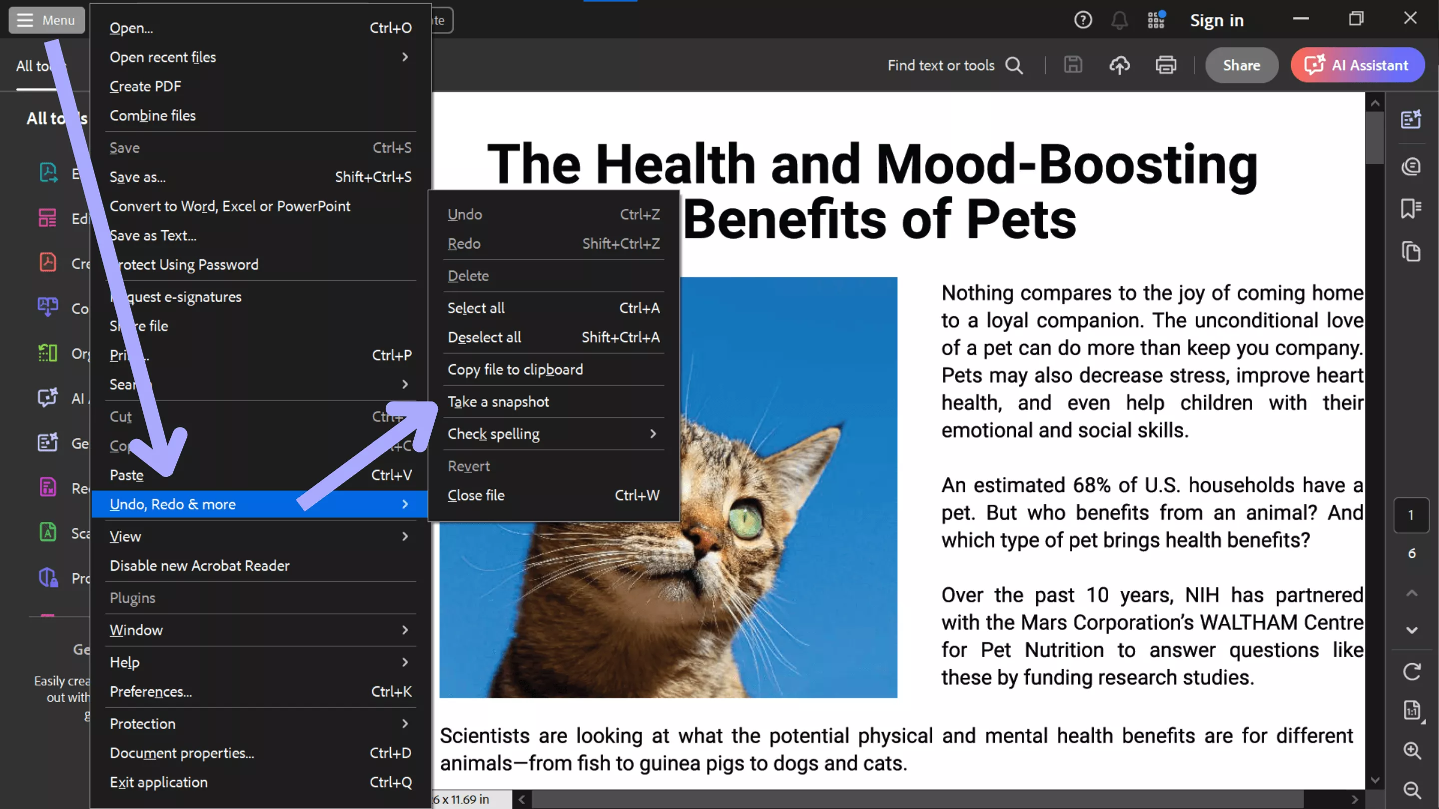 snapshot tool in new acrobat