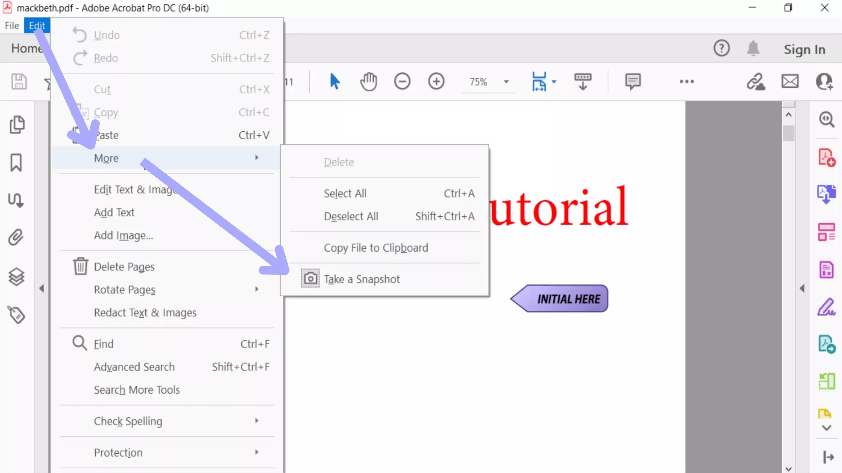 snapshot tool in old acrobat