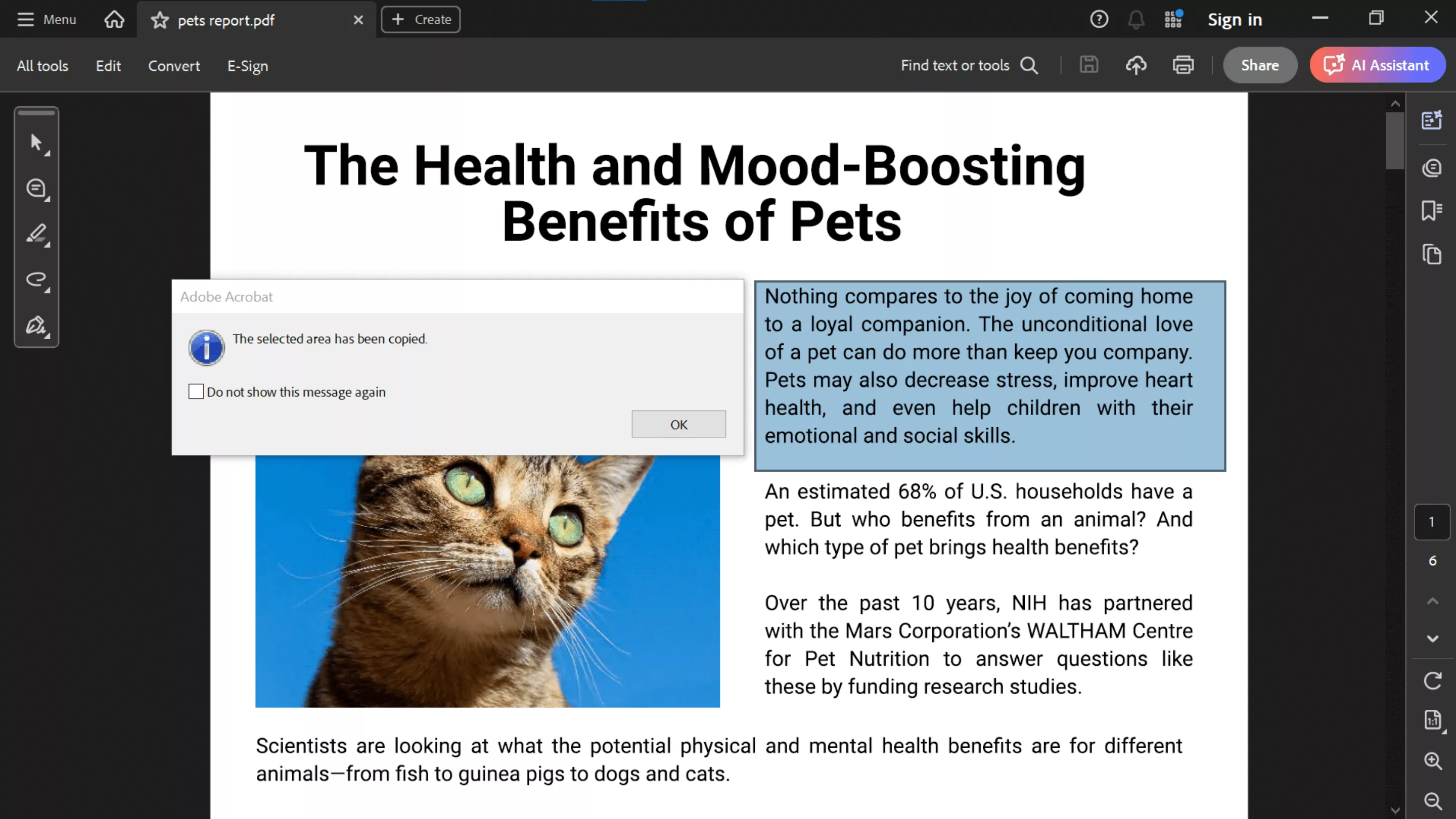 take screenshot in new acrobat