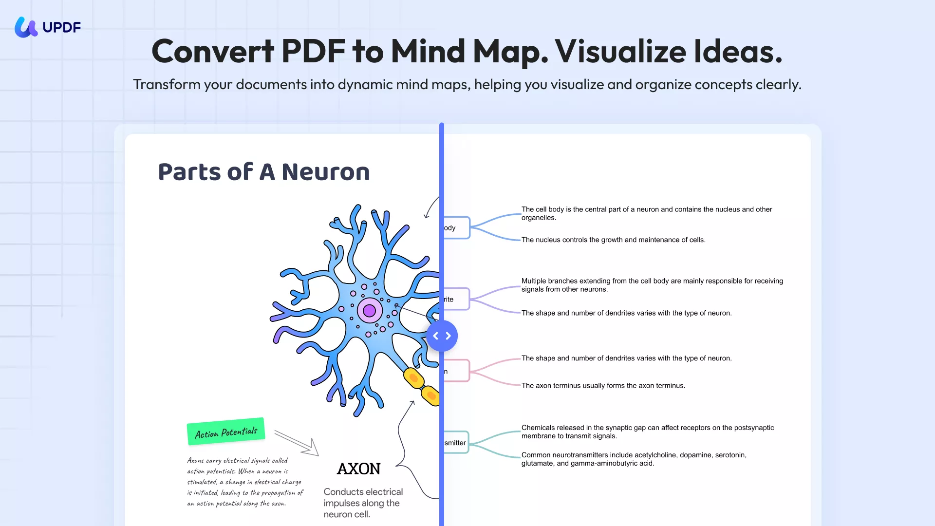convert pdf to mind map