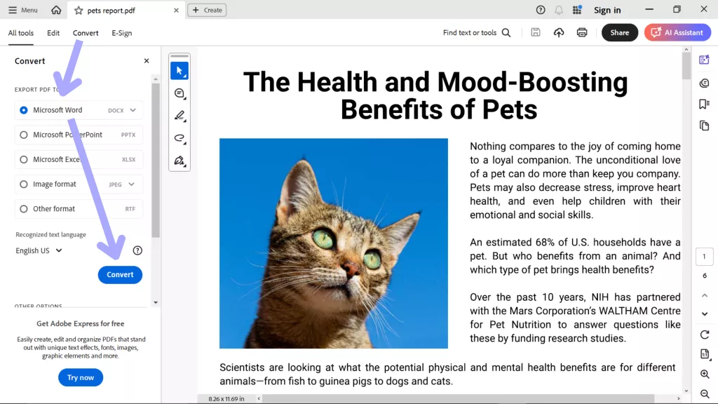 convert pdf to word acrobat
