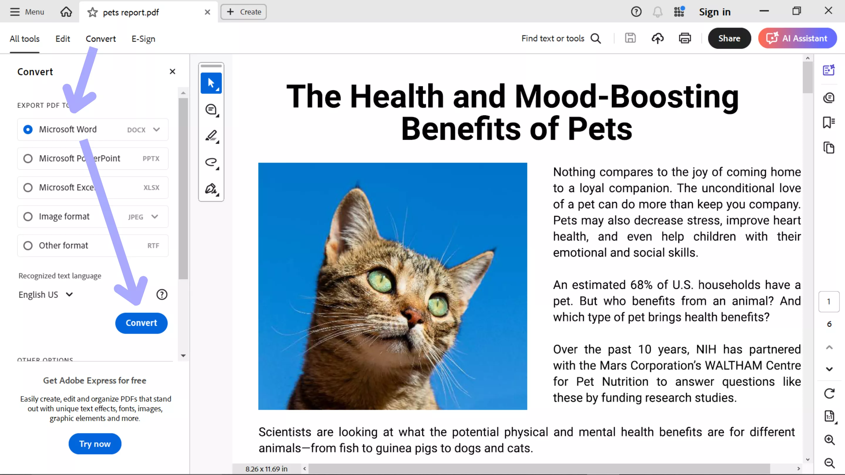 convert pdf to word acrobat