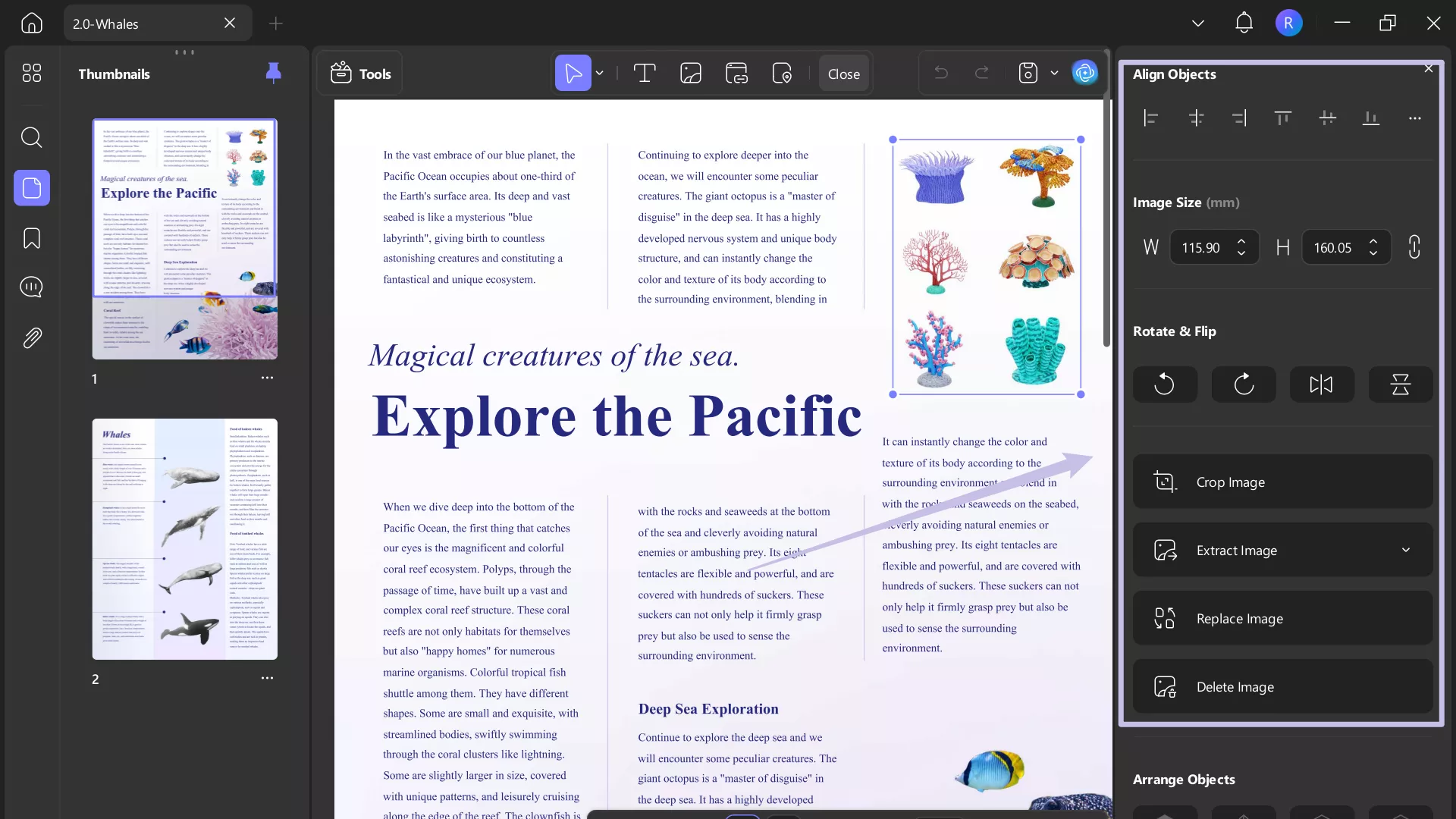edit image updf windows