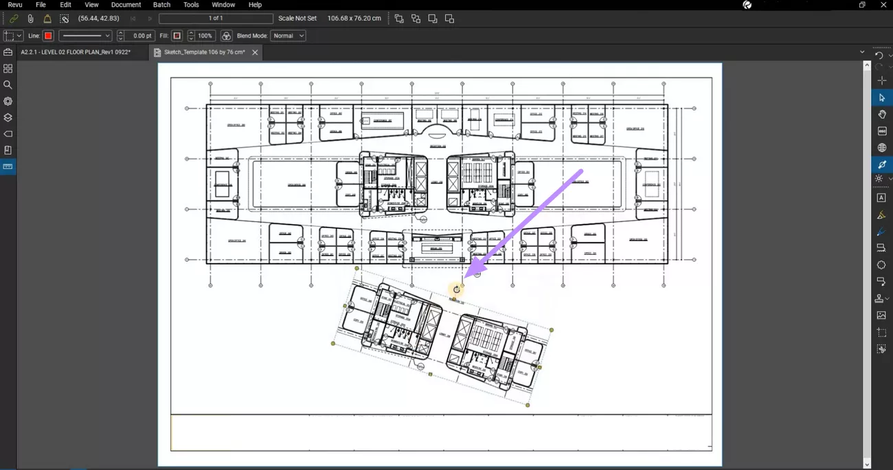 rotate and mirror image with bluebeam