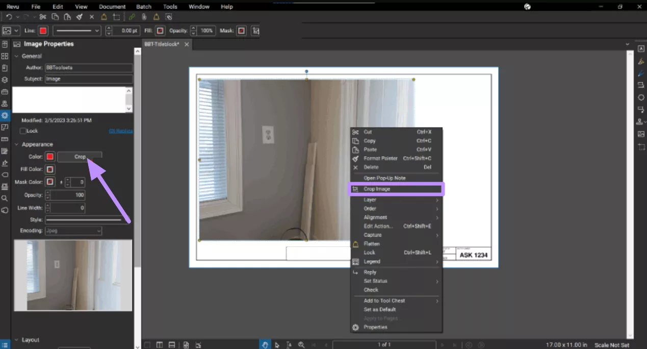 use bluebeam crop image feature