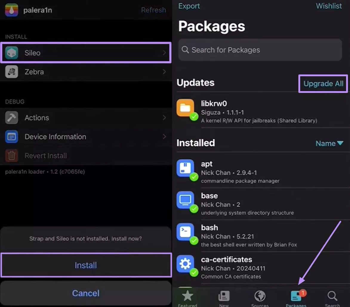 install sileo within palera1n