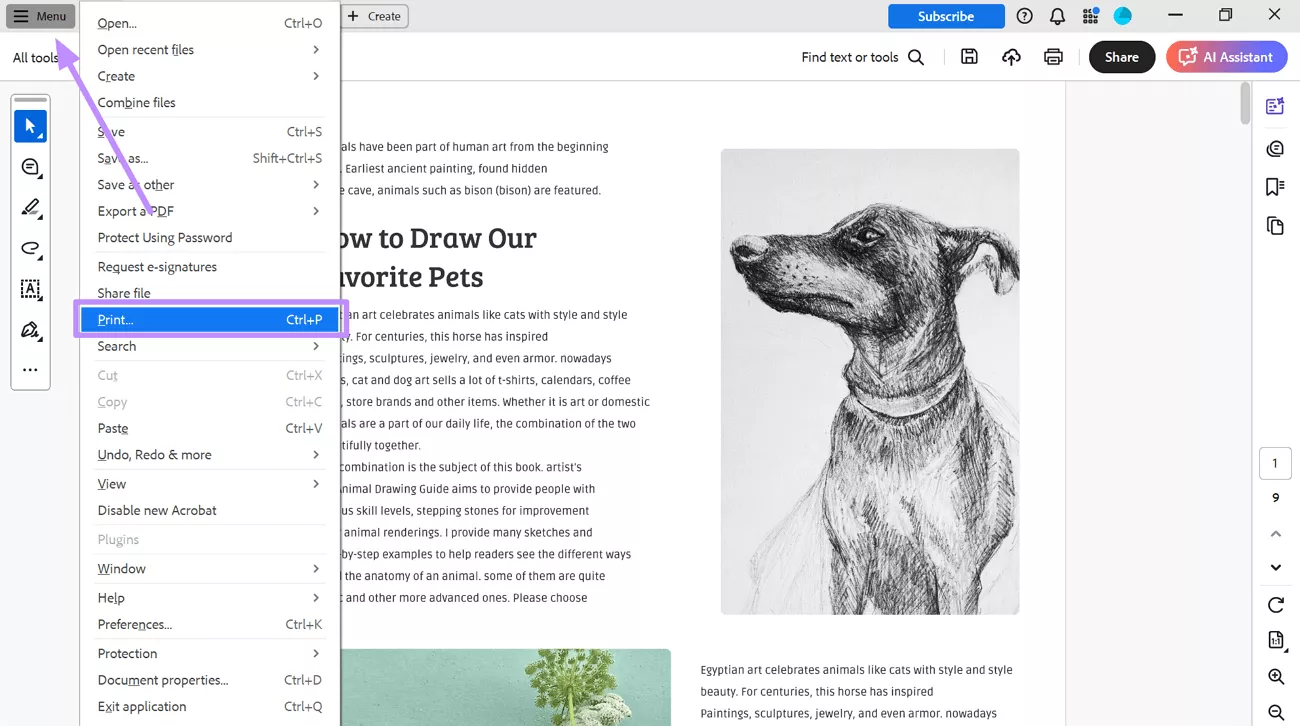 access the print dialog box acrobat