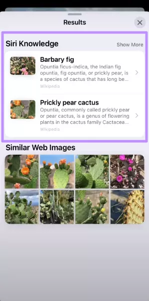 analyze siri knowledge section