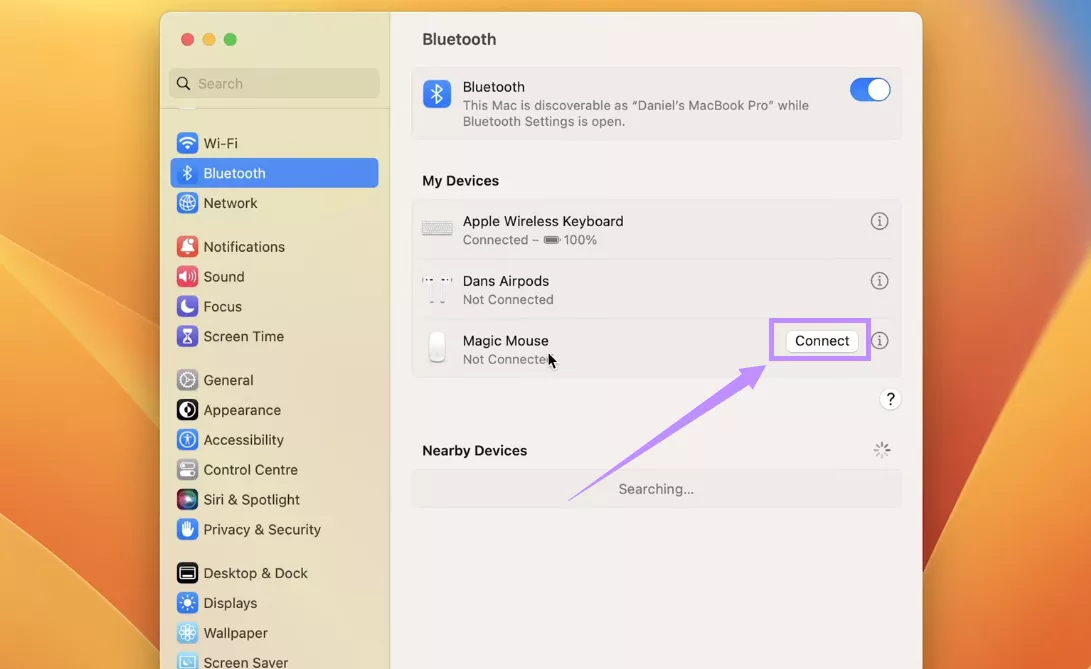 connect the mouse again mac