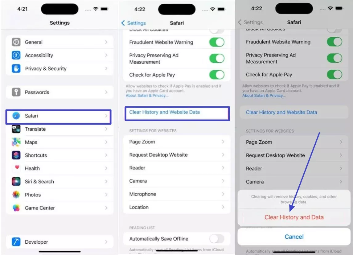 clear history and data cache