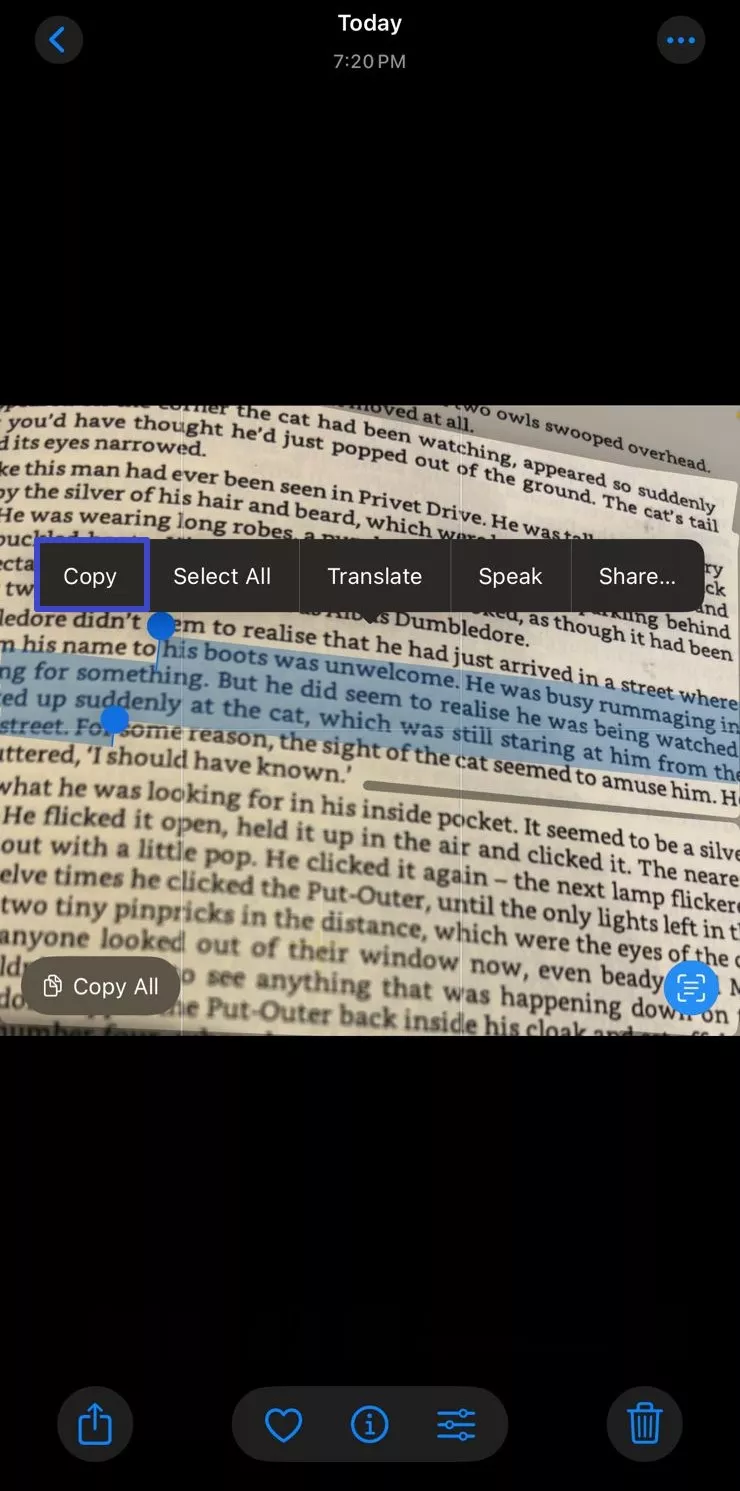 select and copy text 