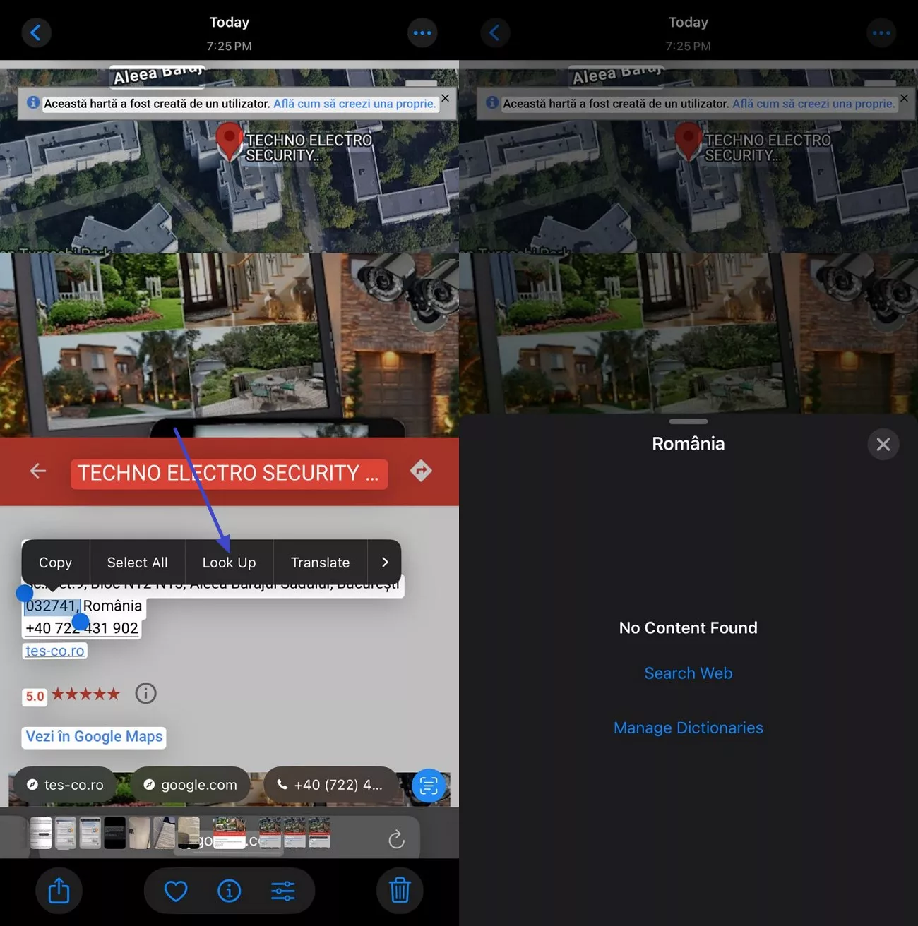 look up feature live text