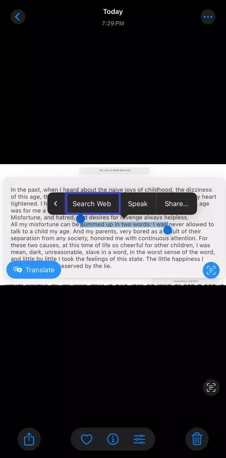 search web for live text selected