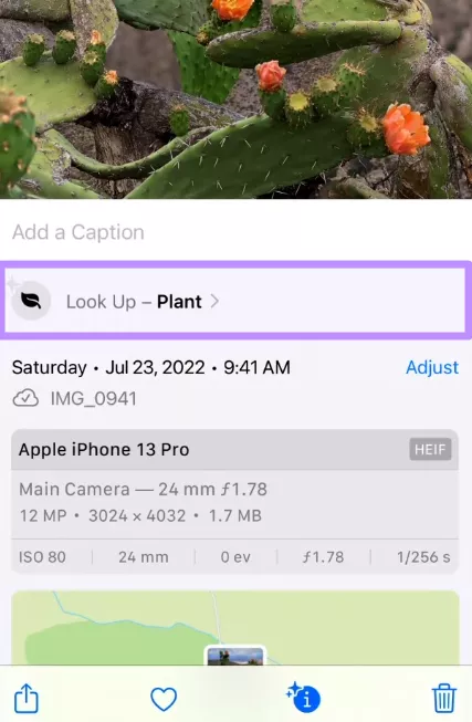press look up button