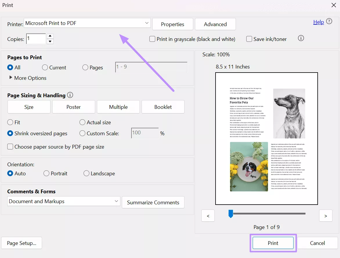 print original file as pdf acrobat