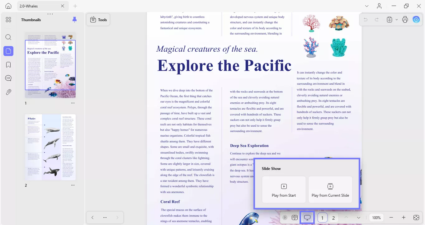 start the slide show updf windows