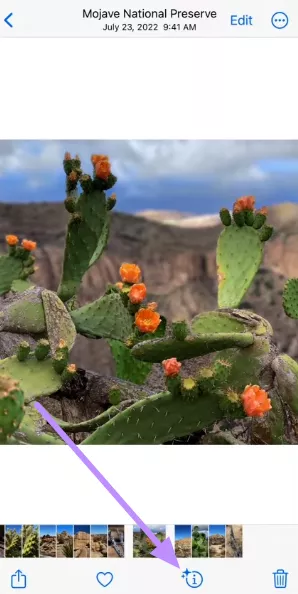 tap on shiny info icon