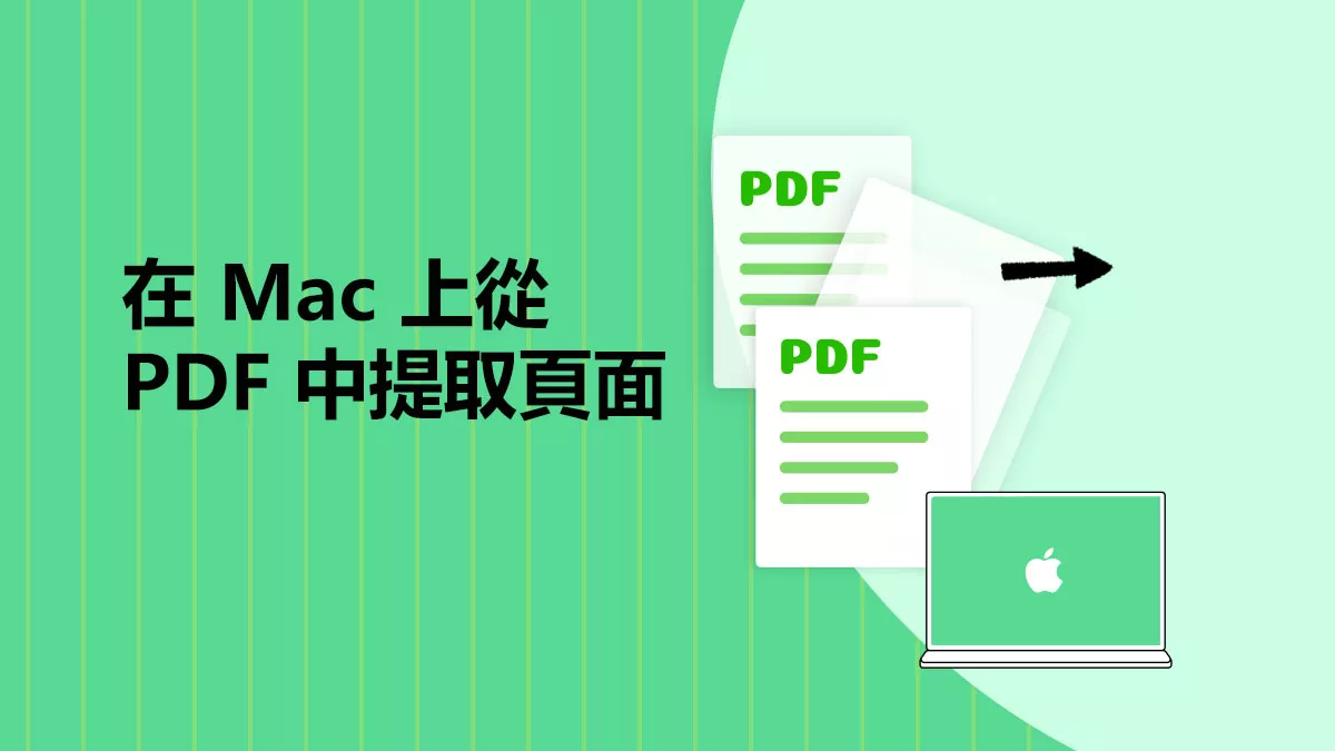 在 Mac 上從 PDF 中提取頁面的 3 種方法