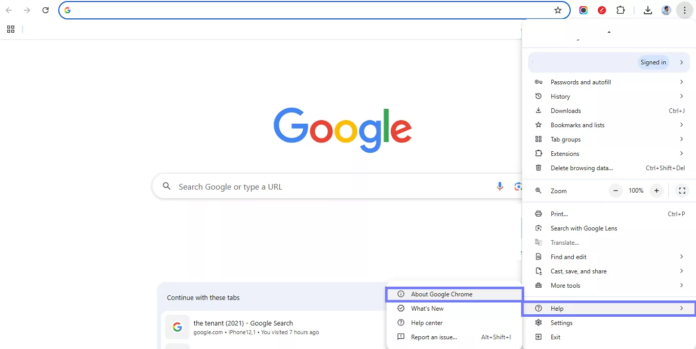 go to about google chrome