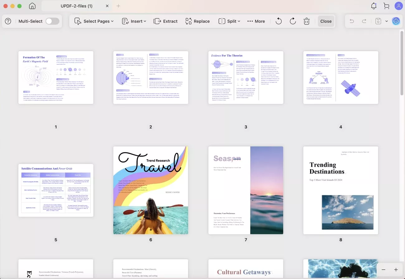 organize pdf pages updf
