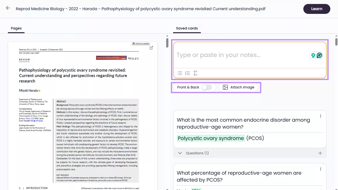 magic import options gizmo ai